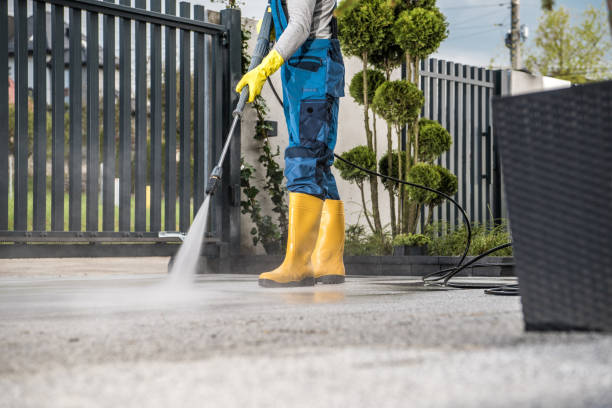 Best Solar Panel Cleaning  in Tioga, TX